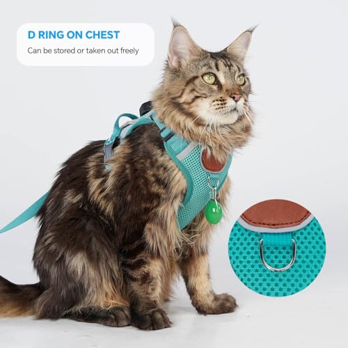 Cat Harness and Leash Set with AirTag Holder (Green (Holder for Airtag) / XL)