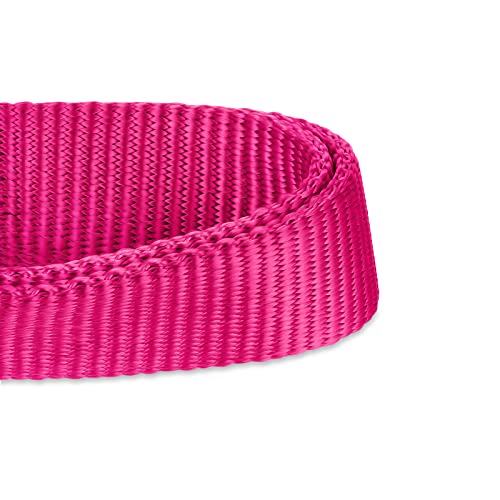 Pink Puppy Collar (Small / Rose Red)