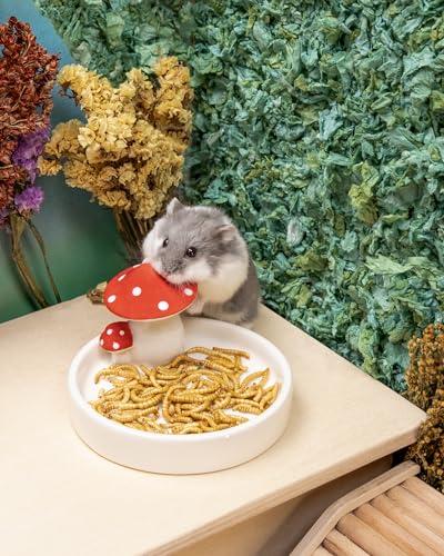 Small Animal Snack & Treats