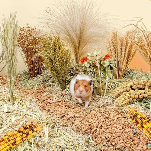 Natural Grain Flower&Herb Hamster Habitat Cage Accessories Bedding Decor (Miscellaneous grain crops)