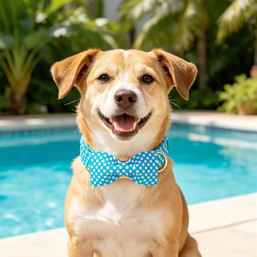 Pet Collar Blue & White Polka Dot Dog Collar with Bow (Blue White Dot / Medium (Pack of 1))