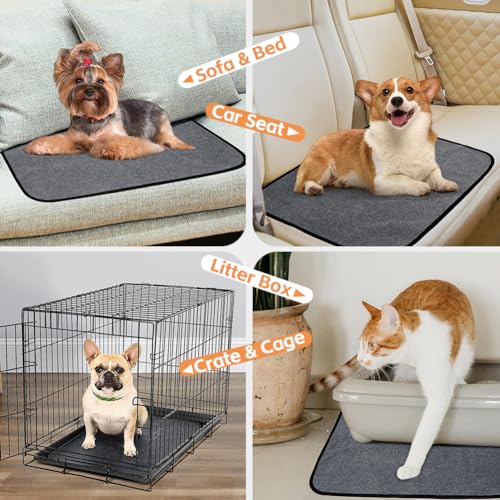 Washable Pee Pads for Dogs (36"x24" -2 Pack / Gray)