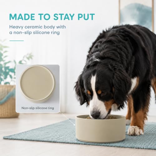 Ceramic Dog Bowls (Matte Khaki)