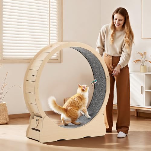 Cat Exercise Wheel (Wood grain color)