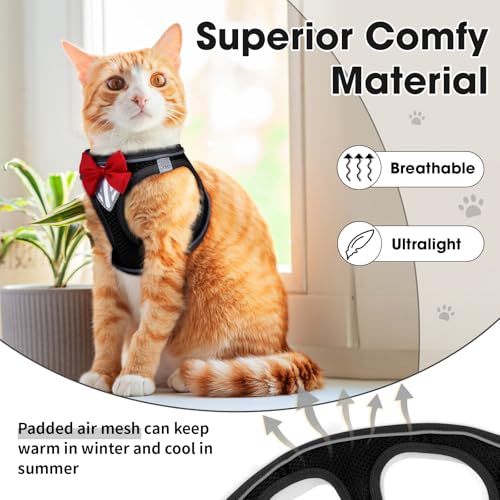 Cat Vest Harness and Leash Set (Black / M)