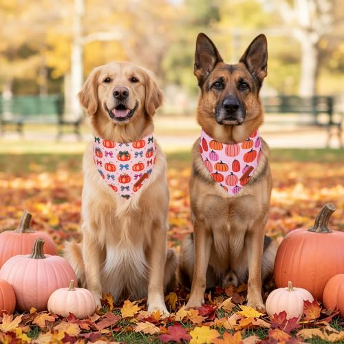 Fall Dog Bandanas Girl (X-Large / Pink Pumpkin)