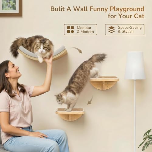 Cat Wall Shelf with Curved Hammock Bed (1 Curved Bed (Foam Mat) / Normal)