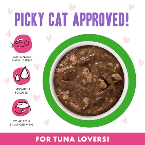 B.F.F. OMG Best Feline Friend Oh My Gravy! (3 Ounce (Pack of 12))
