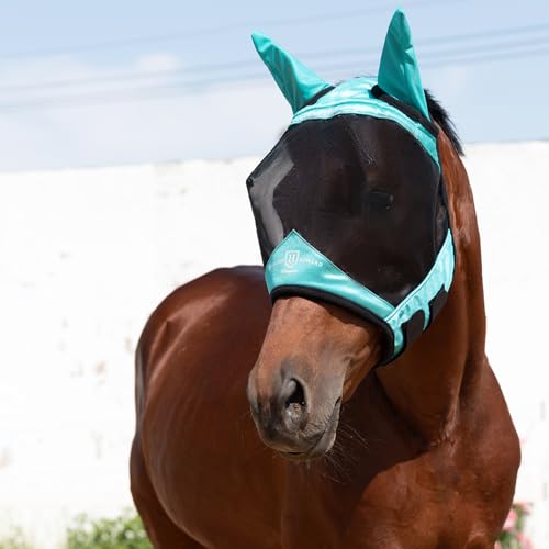 Horse Fly Mask with Ears (Teal / Small (Yearling))