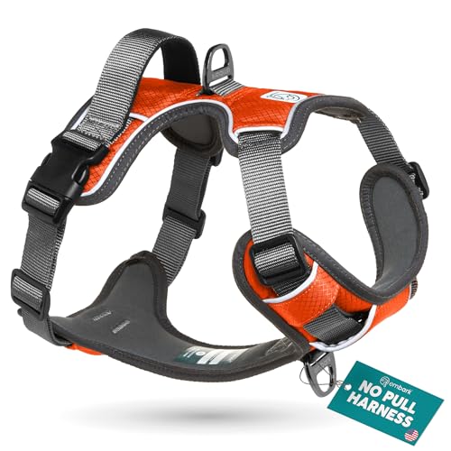 Embark No Pull Dog Harness (M / Orange)