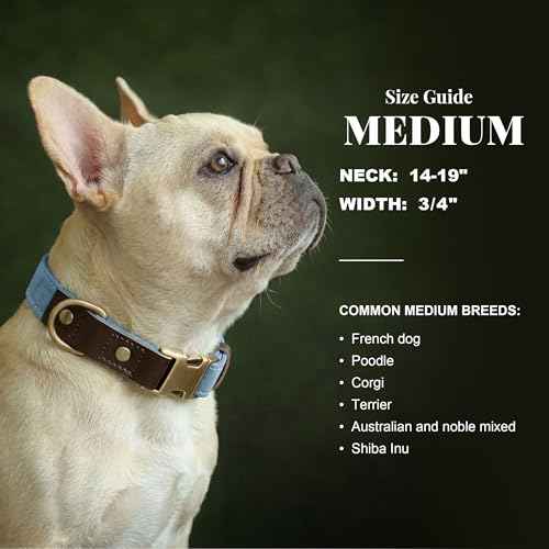PU Leather Dog Collar for Medium Dogs (Light Blue / M: Neck 14-19", Width ¾")