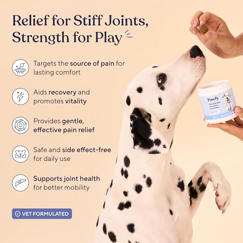 Hip & Joint Supplement for Dogs