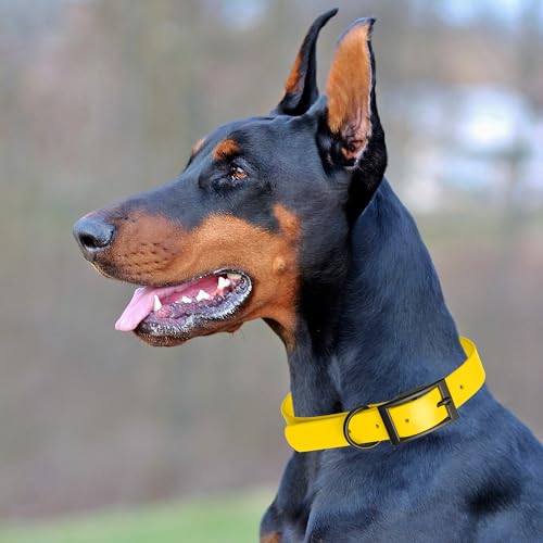 Biothane Waterproof Dog Collar Strong Coated Nylon Webbing with Black Hardware Odor (W1/2" x L9-12" / Lemon Yellow)