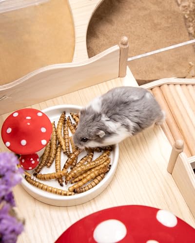 Small Animal Snack & Treats