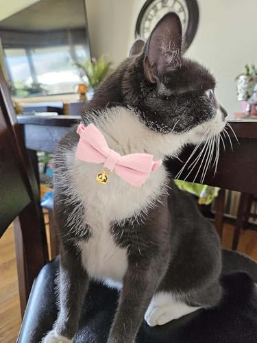 2 Pack Soft Corduroy Cat Collars with Bow Tie & Bell Adjustable Breakaway Kitten Bowtie Collar for Female Male Cats (S:Neck 7.0" - 11.0" / Corduroy-Pink Grass Green)