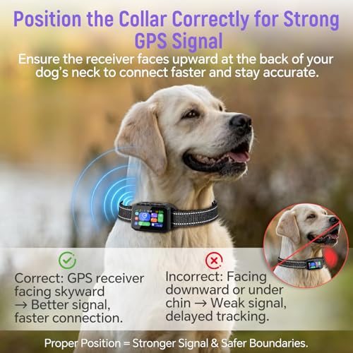GPS Wireless Dog Fence