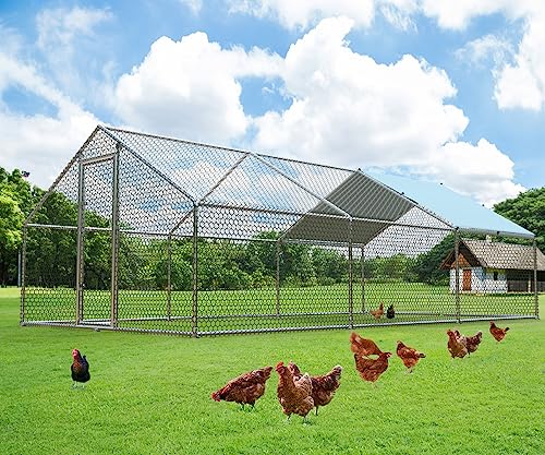 1.26’’ Large Metal Chicken Coop Walk in (9.8’Lx19.7’Wx6.4’H)