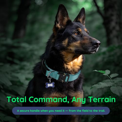 Premium Tactical Dog Collar (Blue / L: Fits Neck 17.5"-21.5")