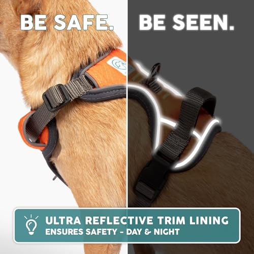 Embark No Pull Dog Harness (M / Orange)
