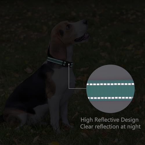 Reflective Dog Collar (Teal / L:width 1"neck 17.5-27")