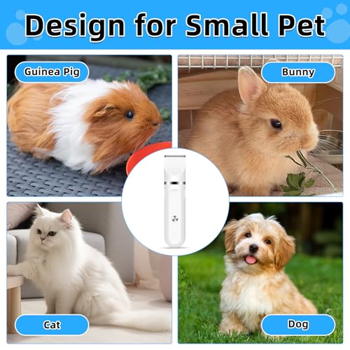 Guinea Pig & Rabbit Grooming Kit 2 in 1