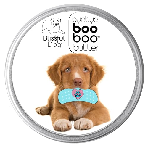Nova Scotia Duck Tolling Retriever Boo Boo Butter (1 Count (Pack of 1) / Nova Scotia Duck Tolling Retriever)