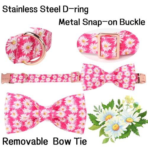 Cartoon Dog Collar with Bow Spring Summer Collar with Flower Rose Daisy for Small Medium Large Boys Girls Dogs (XS / Rose daisy bow)