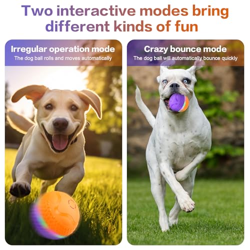 Interactive Dog Toys Ball