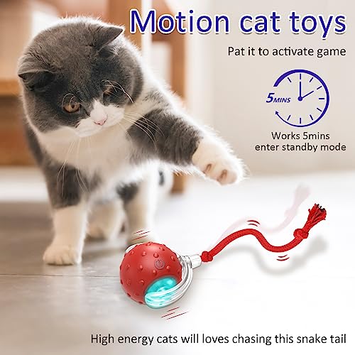 Interactive Cat Toys Ball for Indoor Cats Fast Rolling on Carpet