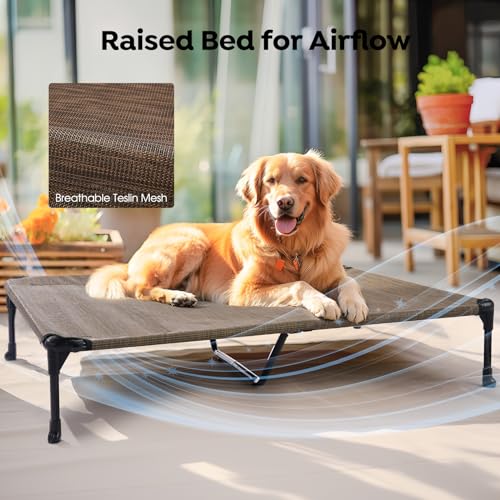 Outdoor Elevated Dog Bed with Waterproof Bolster Cushion (Brown / 49.0"L x 33.0"W x 9.0"Th)