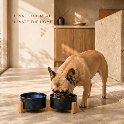 Ceramic Dog and Cat Bowl Set with Wooden Stand (3.6 cups / Starry Blue × 2)