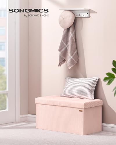 Ottoman Storage Bench (Jelly Pink / 15"D x 30"W x 15"H / Modern)
