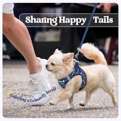 Dog Harness Medium Sized and Leash Set (Navy Space Pups / M (chest: 16 - 18.5"))