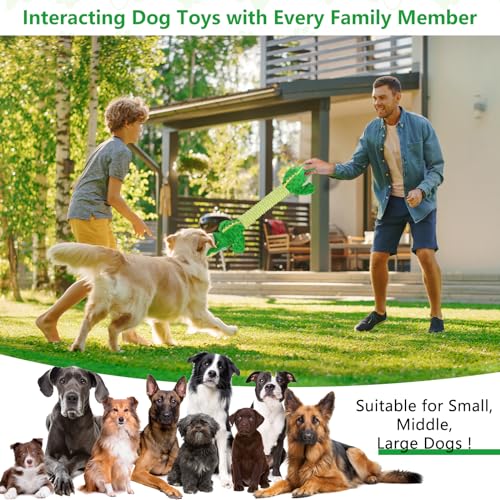Large Squeaky Alligator Dog Toys (Alligator)