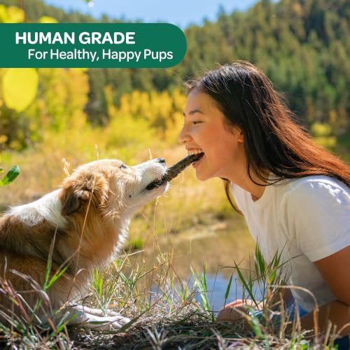 Smoked Salmon Skins Healthy Dog Treats (4 Ounce (Pack of 1))