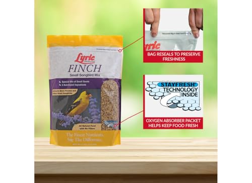 Small Songbird (5 Pound (Pack of 1))