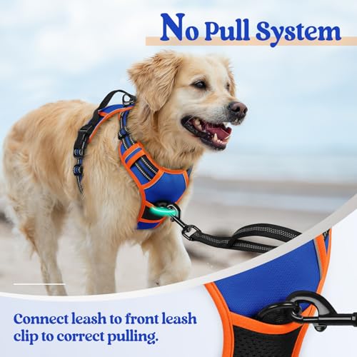 Dog Harness No Pull for Large Dogs with 2 Leash Clips (X-Large / Blue & Orange)