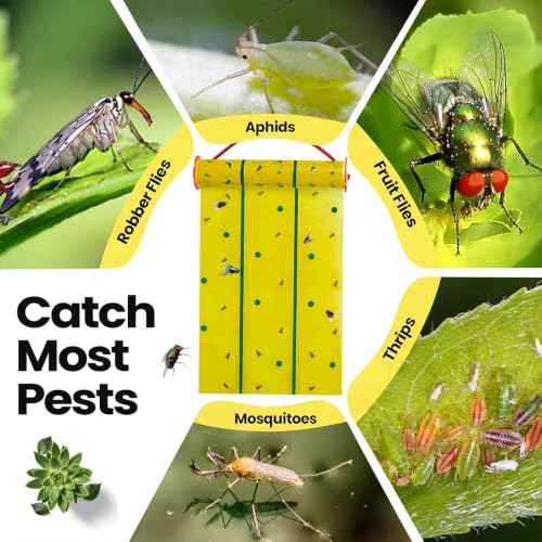2 Pcs Giant Flypaper Fly Traps (Yellow and Green)