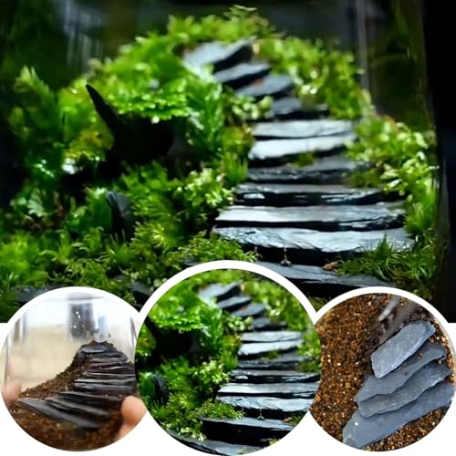 Fish Tank Rock Natural Slate Rocks 2 to 8 inch Aquariums Stone for Aquascaping (20lb（2-8''))
