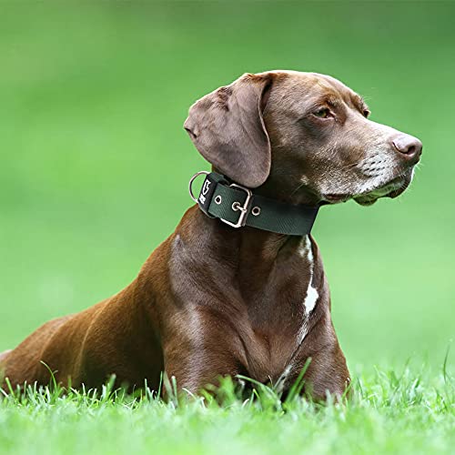 Heavy Duty Thick Dog Collar with Metal Buckle for Small Dogs (S – Fits Neck 12.6"-15.8" / Basic Black)