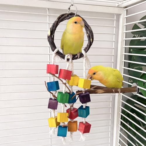 Bird Chewing Toys for Parakeet (Multicolor)