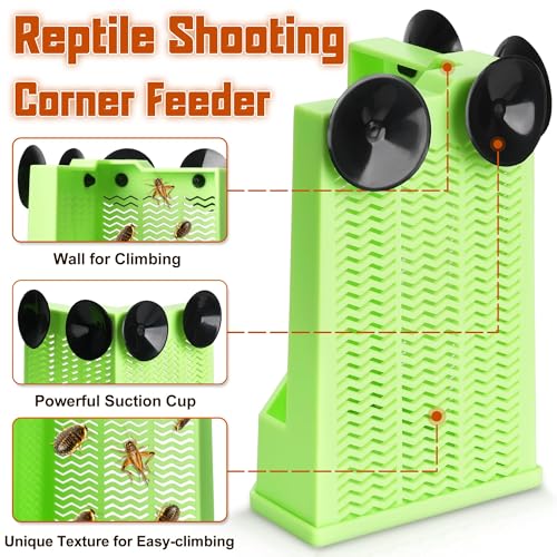 Reptile Corner Hunting Bowl (Right Angle Feeding Bowl / Medium)