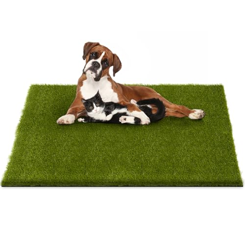 Professional Fake Grass for Dogs (39" x 31")