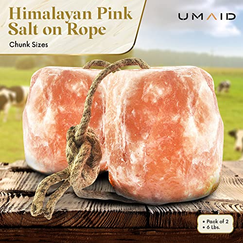 Himalayan Salt Lick 6 lbs on Rope for Horse (6 Pound (Pack of 2))