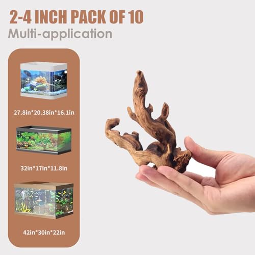 Natural Small Aquarium Driftwood for Fish Tanks & Reptile Terrariums (Mopani Driftwood 2-4" (Pack of 10))