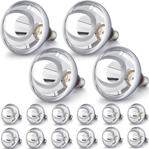 16 Pack Heat Lamp Bulbs 250 Watt (Silver)