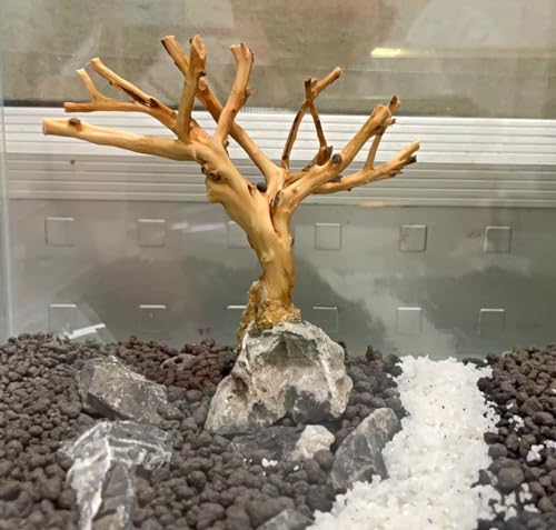 2pcs Small Bonsai Aquarium Tree