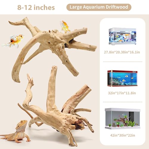 Natural Spiderwood for Aquarium Decor 2 (Spiderwood （11-14 inch pack of 2）)