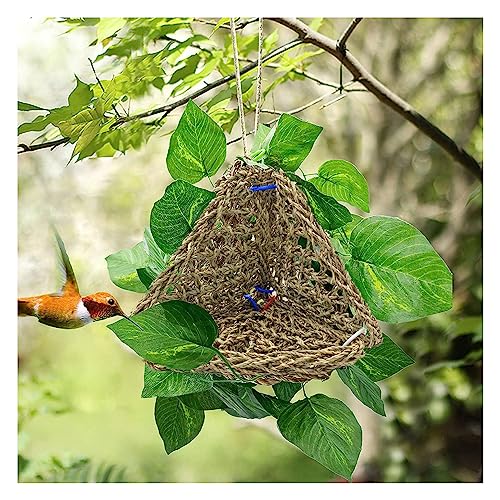 3 PCS Parrot Seagrass Mat