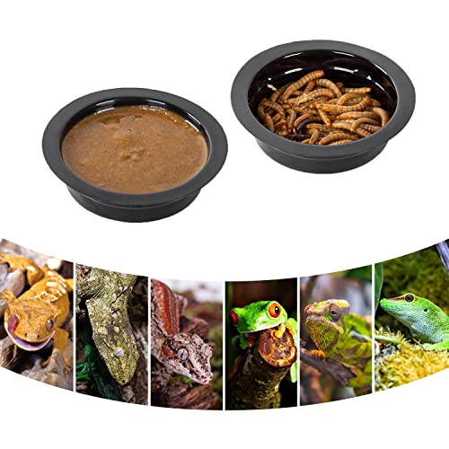 Feeding Cups 50PCS for Magnetic Feeding Ledge